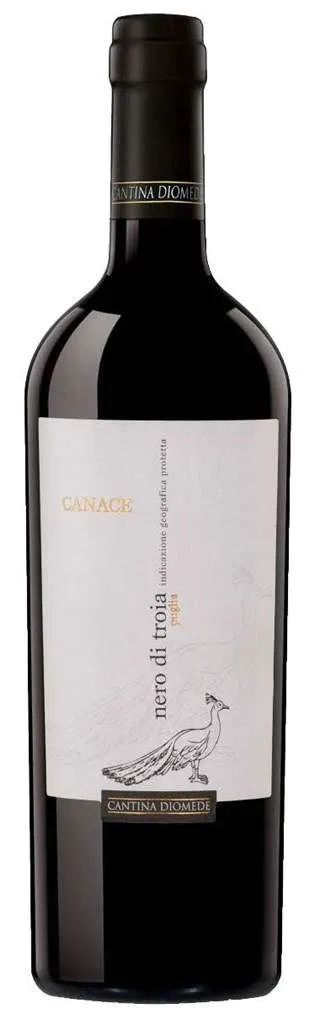 Canace Nero di Troia 75cl - Matsons