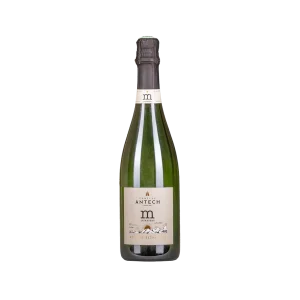 Antech M Le Mauzac Reserve Extra Brut - Matsons