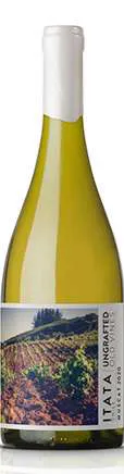 De Martino Ungrafted Muscat 75cl - Matsons